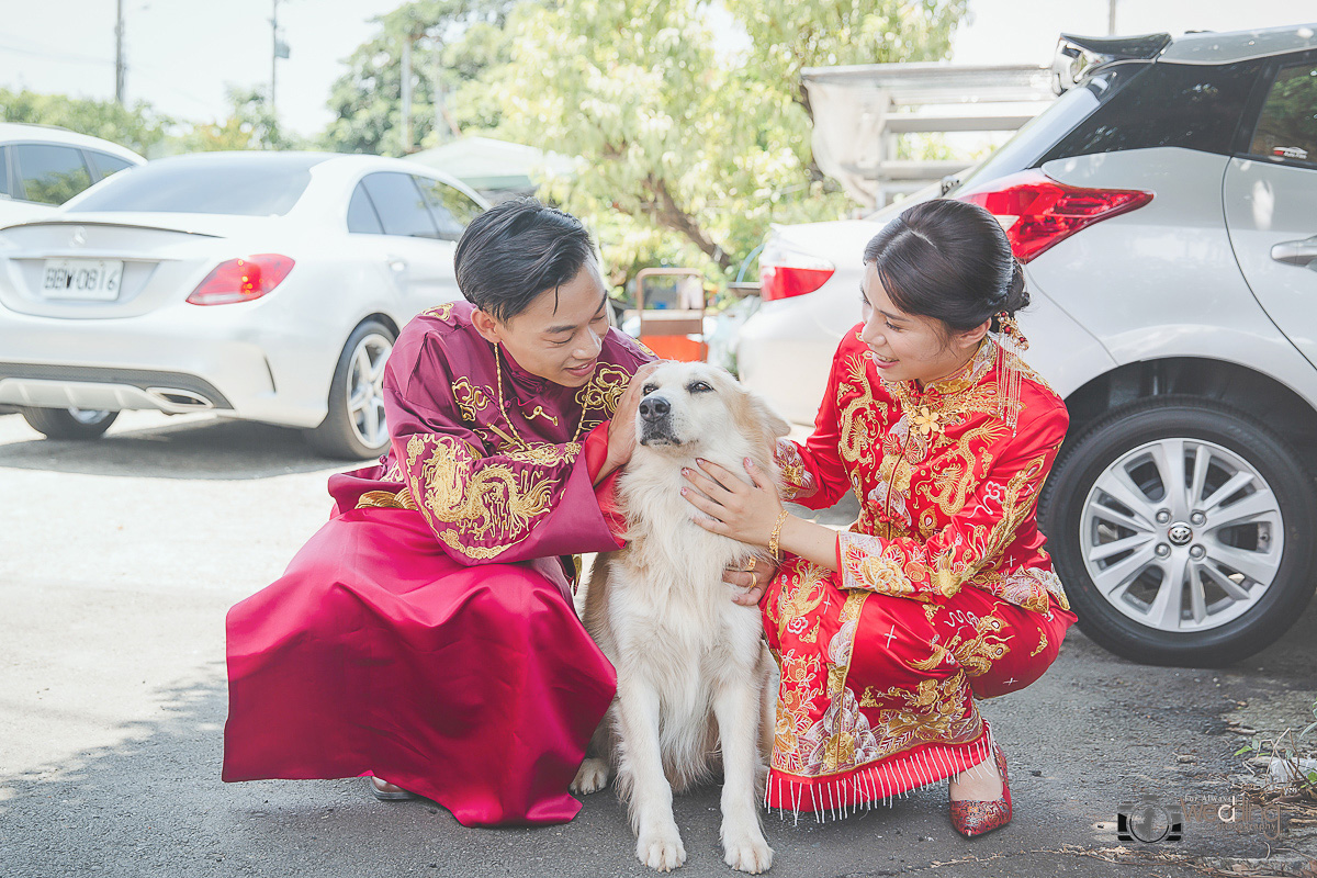 毅仁曉梅 文定迎娶晚宴 林口金湯匙花漾時尚會館

 婚攝香蕉 永恆記憶 婚禮攝影 婚攝 #婚攝 #婚禮攝影 #台北婚攝 #婚禮拍立得 #婚攝拍立得 #即拍即印 #婚禮紀錄 #婚攝價格 #婚攝推薦 #拍立得 #婚攝價格 #婚攝推薦